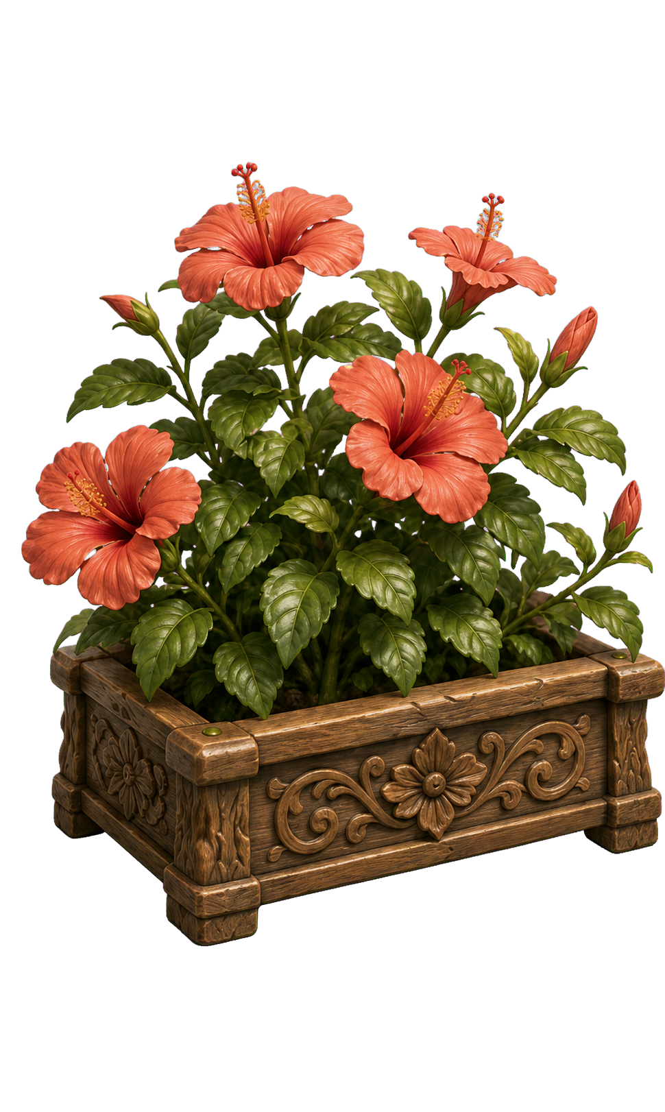 Hibiscus garden reward